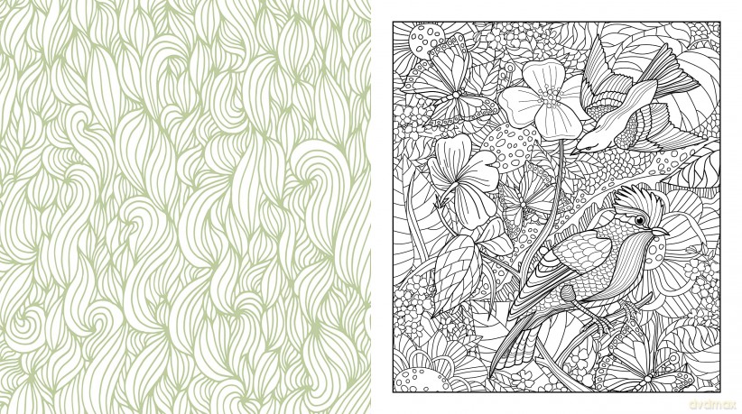 Be Stress Free and Color: Channel Your Worries into a Comforting, Creative Activity - Over 100 Coloring Pages for Meditation and Peace (Chartwell Coloring Books) - Editors of Chartwell Books [KSIĄŻKA]
