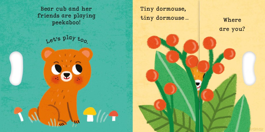 Bear Cub, Bear Cub, PEEKABOO: With grab-and-pull pages and a mirror (Peekaboo!, 5) - Campbell Books [KSIĄŻKA]