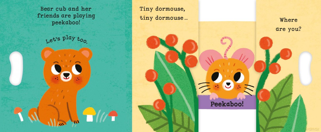 Bear Cub, Bear Cub, PEEKABOO: With grab-and-pull pages and a mirror (Peekaboo!, 5) - Campbell Books [KSIĄŻKA]