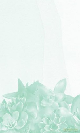 Bearing the Unbearable: A Guided Journal for Grieving - Joanne Cacciatore [KSIĄŻKA]