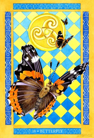 Beasts of Albion Oracle Cards: 40 Oracle Cards with Guidebook - Miranda Gray [KSIĄŻKA]