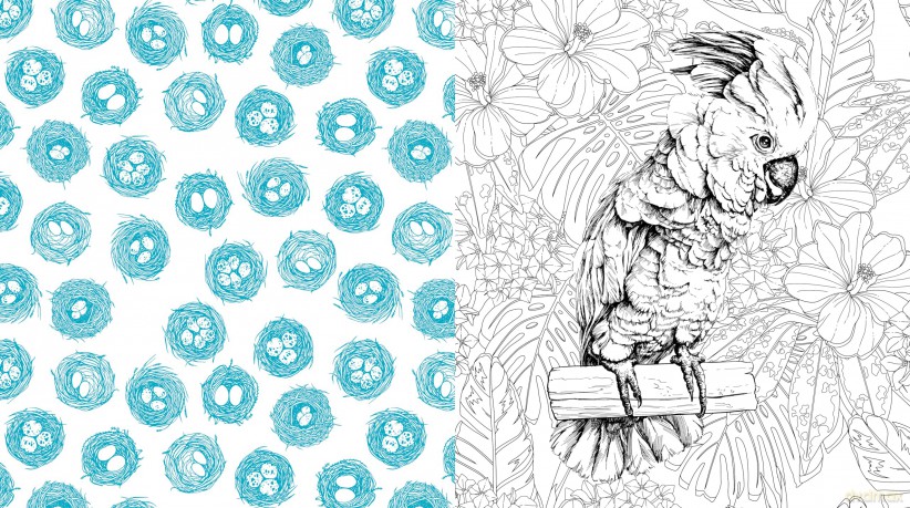 Beautiful Birds: Color Your Favorite Feathered Friends - More than 100 Pages to Color! (Chartwell Coloring Books) - Editors of Chartwell Books [KSIĄŻKA]