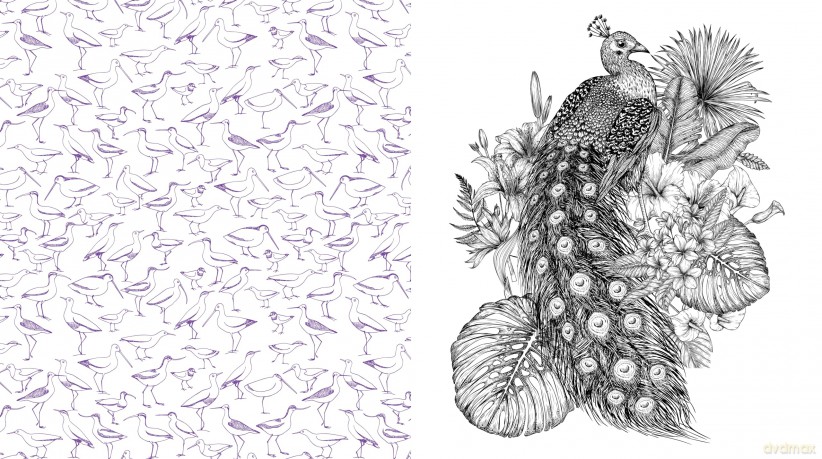 Beautiful Birds: Color Your Favorite Feathered Friends - More than 100 Pages to Color! (Chartwell Coloring Books) - Editors of Chartwell Books [KSIĄŻKA]