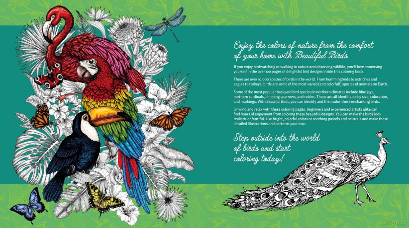 Beautiful Birds: Color Your Favorite Feathered Friends - More than 100 Pages to Color! (Chartwell Coloring Books) - Editors of Chartwell Books [KSIĄŻKA]