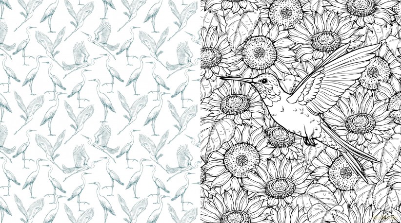 Beautiful Birds: Color Your Favorite Feathered Friends - More than 100 Pages to Color! (Chartwell Coloring Books) - Editors of Chartwell Books [KSIĄŻKA]