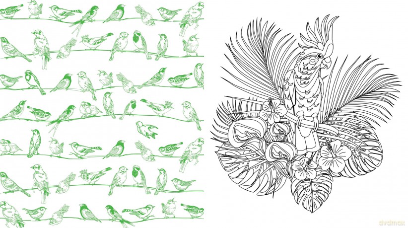 Beautiful Birds: Color Your Favorite Feathered Friends - More than 100 Pages to Color! (Chartwell Coloring Books) - Editors of Chartwell Books [KSIĄŻKA]