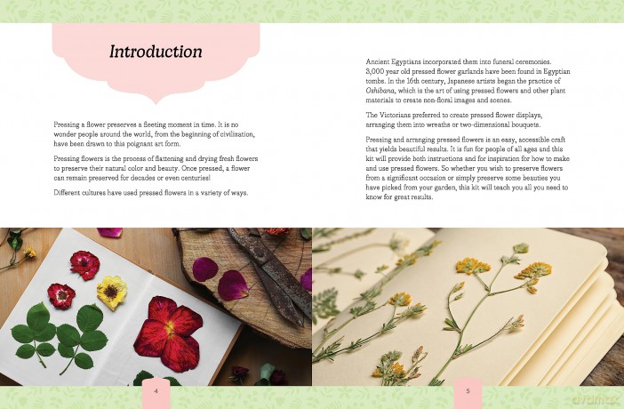 Beautiful Botanicals Flower Press Kit: Create Bookmarks, Gift Tags, and More - Editors of Chartwell Books [KSIĄŻKA]
