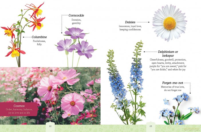 Beautiful Botanicals Flower Press Kit: Create Bookmarks, Gift Tags, and More - Editors of Chartwell Books [KSIĄŻKA]