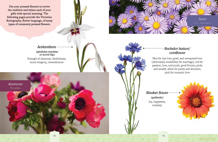 Beautiful Botanicals Flower Press Kit: Create Bookmarks, Gift Tags, and More - Editors of Chartwell Books [KSIĄŻKA]