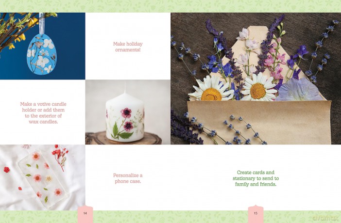 Beautiful Botanicals Flower Press Kit: Create Bookmarks, Gift Tags, and More - Editors of Chartwell Books [KSIĄŻKA]