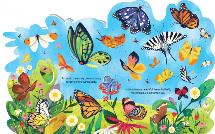 Beautiful Butterflies - Margarida Esteves [KSIĄŻKA]