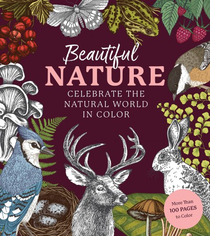 Beautiful Nature Coloring Book: A Coloring Book to Celebrate the Natural World - More Than 100 Pages to Color (Chartwell Coloring Books) - Editors of Chartwell Books [KSIĄŻKA]