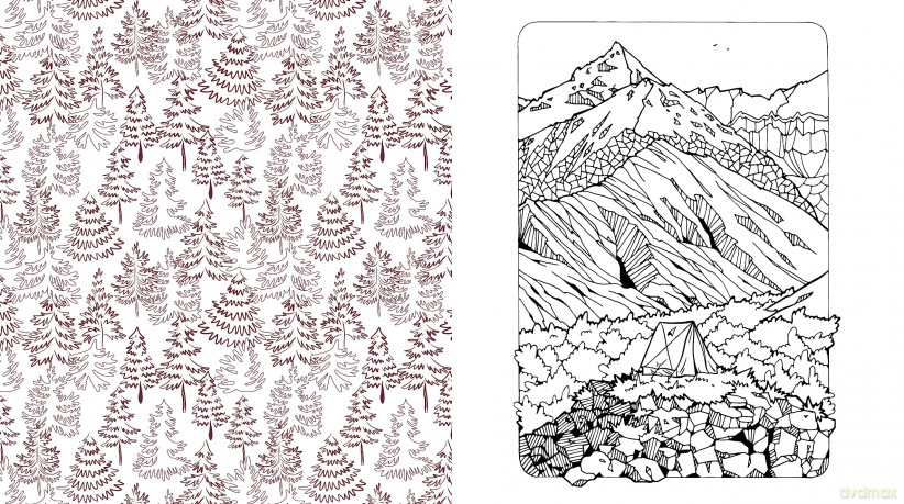 Beautiful Nature Coloring Book: A Coloring Book to Celebrate the Natural World - More Than 100 Pages to Color (Chartwell Coloring Books) - Editors of Chartwell Books [KSIĄŻKA]