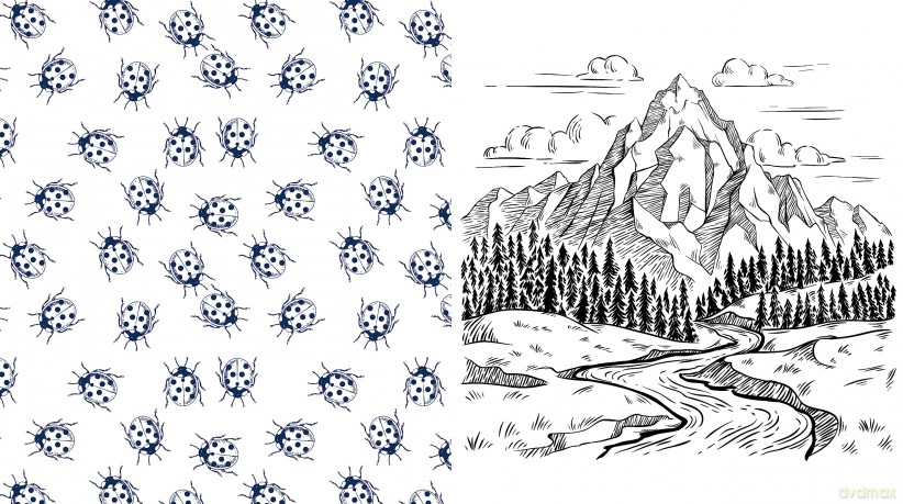Beautiful Nature Coloring Book: A Coloring Book to Celebrate the Natural World - More Than 100 Pages to Color (Chartwell Coloring Books) - Editors of Chartwell Books [KSIĄŻKA]