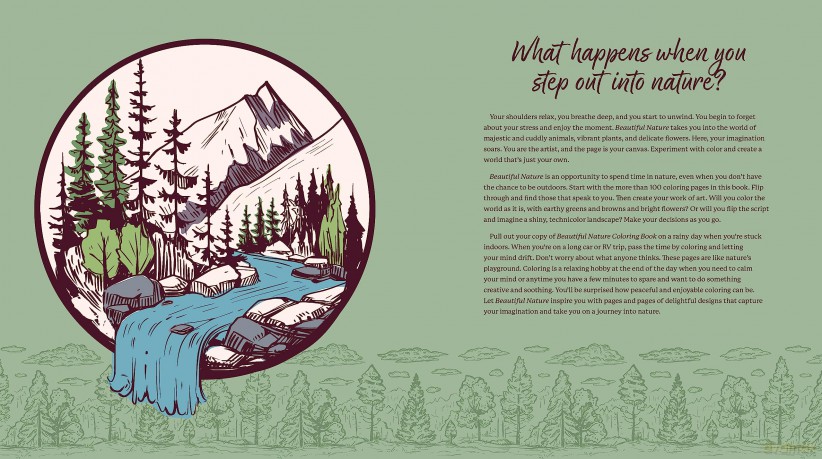 Beautiful Nature Coloring Book: A Coloring Book to Celebrate the Natural World - More Than 100 Pages to Color (Chartwell Coloring Books) - Editors of Chartwell Books [KSIĄŻKA]