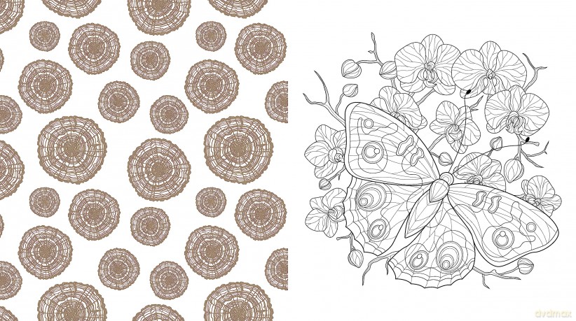 Beautiful Nature Coloring Book: A Coloring Book to Celebrate the Natural World - More Than 100 Pages to Color (Chartwell Coloring Books) - Editors of Chartwell Books [KSIĄŻKA]
