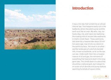 Beautiful Rocks and How to Find Them: A Modern Rockhound's Guide - Alison Jean Cole [KSIĄŻKA]