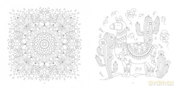 Beautiful World Coloring Book - Car Pintos [KSIĄŻKA]