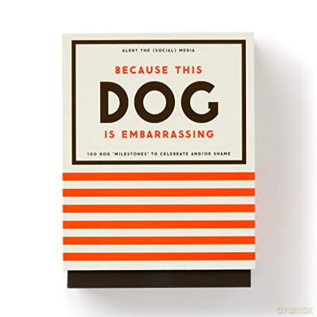 Because This Dog Is Embarrassing - Pet Shame/Praise Deck - Brass Monkey [KSIĄŻKA]