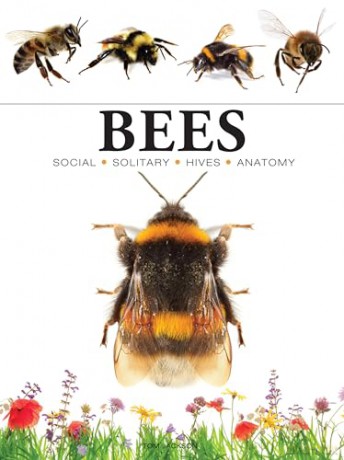 Bees (Mini Animals) - Tom Jackson [KSIĄŻKA]