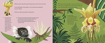 Before the Seed: How Pollen Moves (MIT Kids Press) - Susannah Buhrman-Deever [KSIĄŻKA]