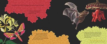 Before the Seed: How Pollen Moves (MIT Kids Press) - Susannah Buhrman-Deever [KSIĄŻKA]