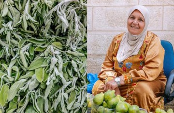 Bethlehem: A Celebration of Palestinian Food - Fadi Kattan [KSIĄŻKA]
