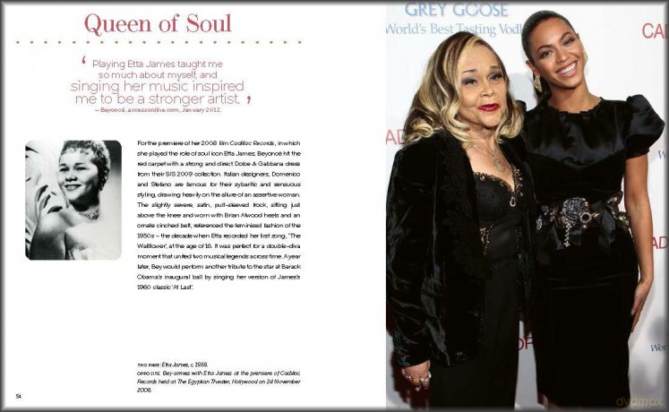Beyoncé: and the clothes she wears (the clothes they wear) - Terry Newman [KSIĄŻKA]