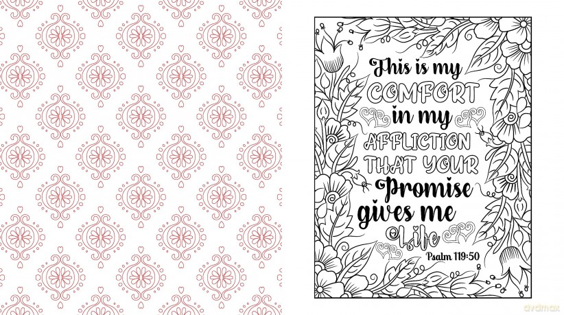 Bible Inspiration for Women Coloring Book: More Than 100 Pages to Color (Chartwell Coloring Books) - Editors of Chartwell Books [KSIĄŻKA]