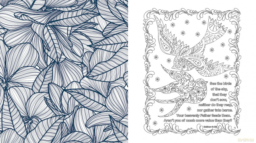 Bible Inspiration for Women Coloring Book: More Than 100 Pages to Color (Chartwell Coloring Books) - Editors of Chartwell Books [KSIĄŻKA]