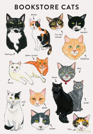 Bibliophile Flexi Journal: Bookstore Cats - Jane Mount [KALENDARZ]