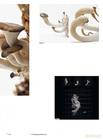 Bioprotopia: Designing the Built Environment with Living Organisms - Ruth Morrow [KSIĄŻKA]