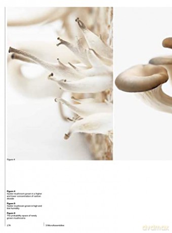 Bioprotopia: Designing the Built Environment with Living Organisms - Ruth Morrow [KSIĄŻKA]