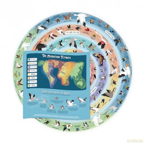 Bird Lover's 1000-Piece Jigsaw Puzzle - Ridley's Games [PUZZLE]