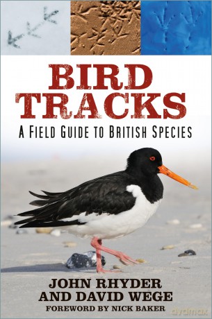 Bird Tracks: A Field Guide to British Species - John Rhyder [KSIĄŻKA]