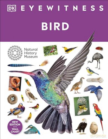 Bird: DK Eyewitness - Dk [KSIĄŻKA]