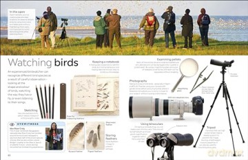 Bird: DK Eyewitness - Dk [KSIĄŻKA]