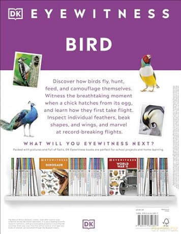 Bird: DK Eyewitness - Dk [KSIĄŻKA]