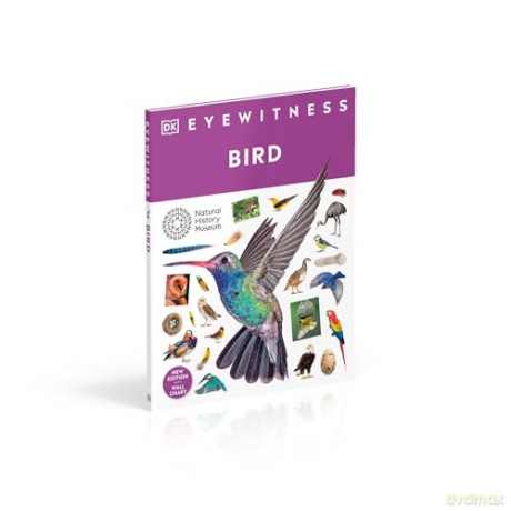 Bird: DK Eyewitness - Dk [KSIĄŻKA]