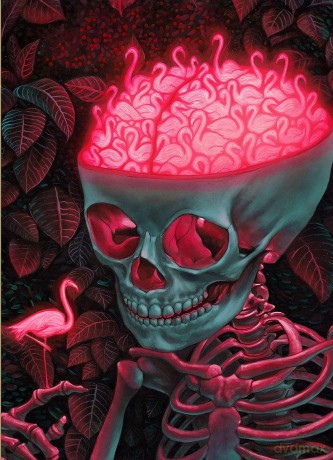 Birdbrain, The: A Jigsaw Puzzle by Casey Weldon - Weldon [KSIĄŻKA]