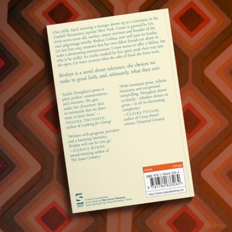 Birdeye: The new novel from the author of Snegurochka (Salt Modern Fiction): The 'evocative, haunting, masterful' novel from the author of Snegurochka - Judith Heneghan [KSIĄŻKA]