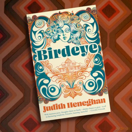 Birdeye: The new novel from the author of Snegurochka (Salt Modern Fiction): The 'evocative, haunting, masterful' novel from the author of Snegurochka - Judith Heneghan [KSIĄŻKA]