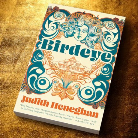 Birdeye: The new novel from the author of Snegurochka (Salt Modern Fiction): The 'evocative, haunting, masterful' novel from the author of Snegurochka - Judith Heneghan [KSIĄŻKA]