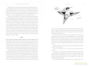 Birding to Change the World: A Memoir - O [KSIĄŻKA]