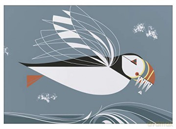 Birds by Charley Harper Book of Postcards - Pomegranate [KSIĄŻKA]