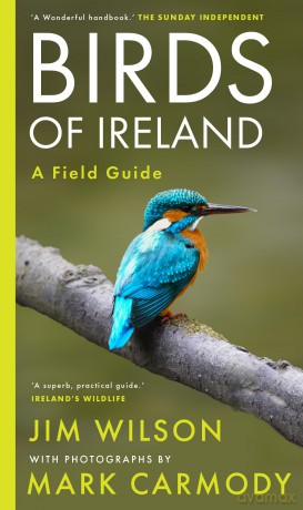 Birds of Ireland - Jim Wilson [KSIĄŻKA]