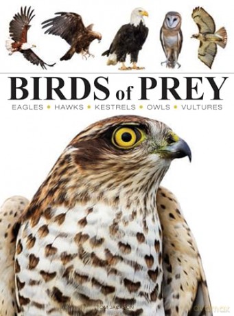 Birds of Prey (Mini Animals) - Tom Jackson [KSIĄŻKA]