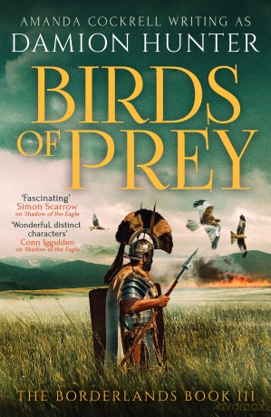 Birds of Prey: A gripping historical adventure set in Roman Britain (The Borderlands, 3) - Damion Hunter [KSIĄŻKA]