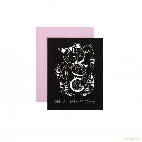 Birthday Box Birthday Cards: Birthday Cards for Everyone You Know - Princeton Architectural Press [KSIĄŻKA]
