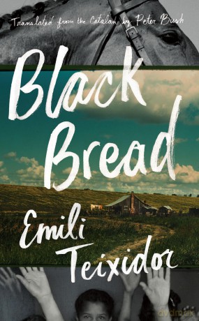 Black Bread: 18 (Biblioasis International Translation Series, 18) - Emili Teixidor [KSIĄŻKA]